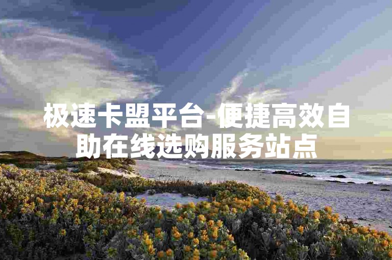 极速卡盟平台-便捷高效自助在线选购服务站点