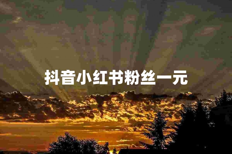 抖音小红书粉丝一元500个活粉-
