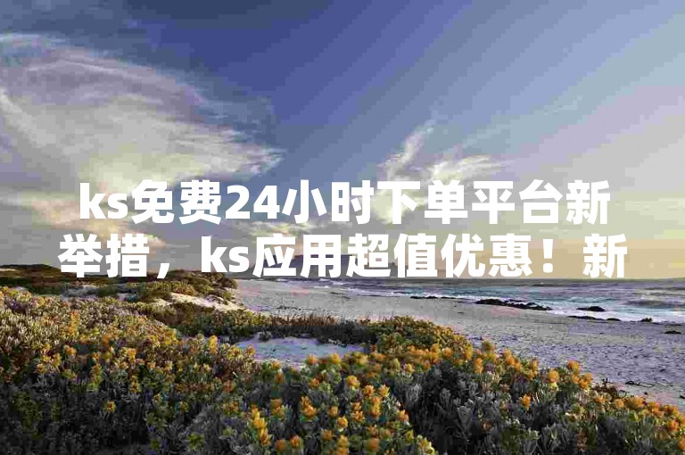 ks免费24小时下单平台新举措，ks应用超值优惠！新手专享！