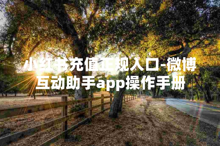 小红书充值正规入口-微博互动助手app操作手册