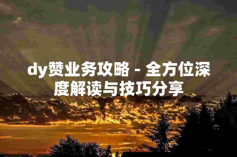 dy赞业务攻略 - 全方位深度解读与技巧分享