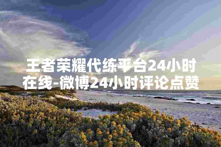 王者荣耀代练平台24小时在线-微博24小时评论点赞自助服务
