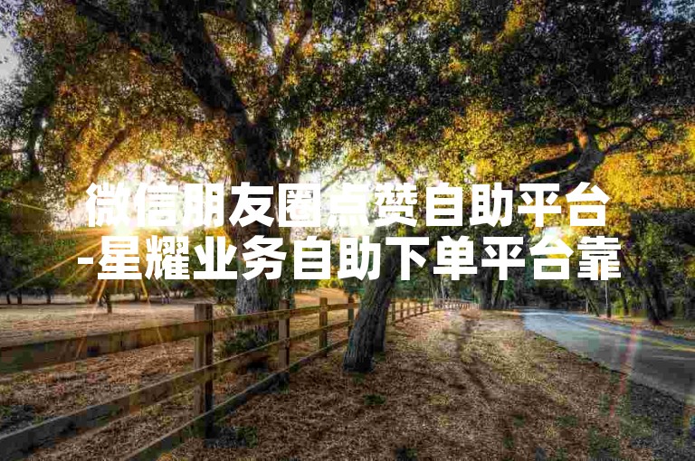 微信朋友圈点赞自助平台-星耀业务自助下单平台靠谱吗