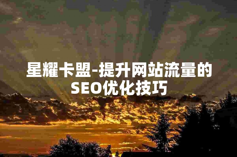 星耀卡盟-提升网站流量的SEO优化技巧