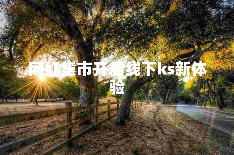 网红集市开启线下ks新体验