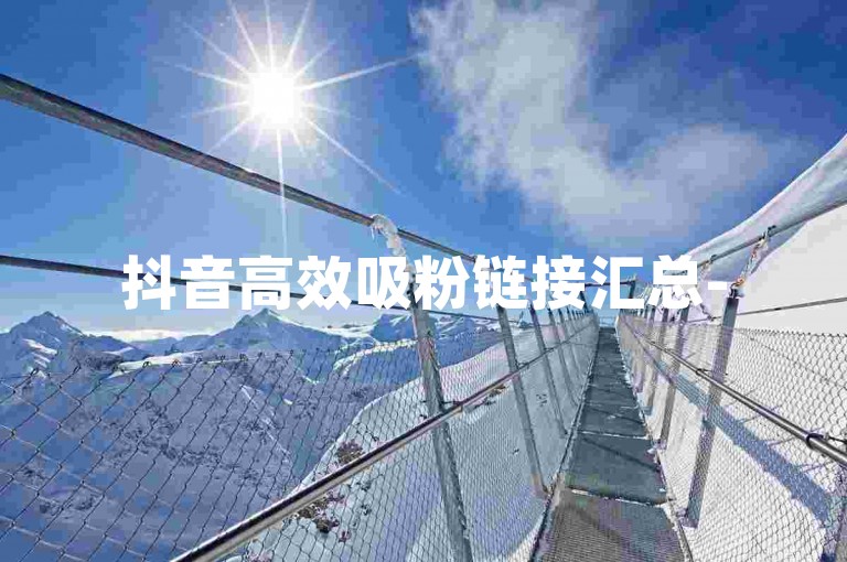 抖音高效吸粉链接汇总-
