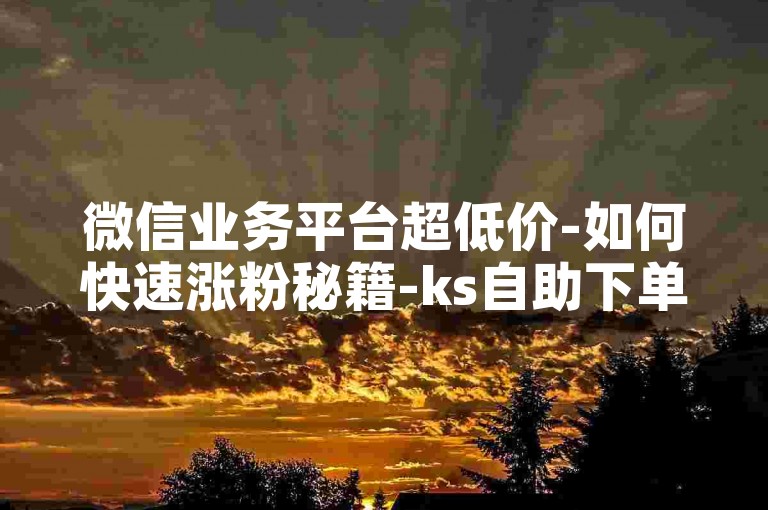 微信业务平台超低价-如何快速涨粉秘籍-ks自助下单站点-小红书定制评论业务