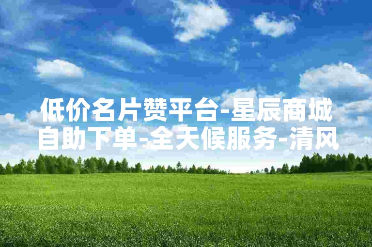 低价名片赞平台-星辰商城自助下单-全天候服务-清风业务网