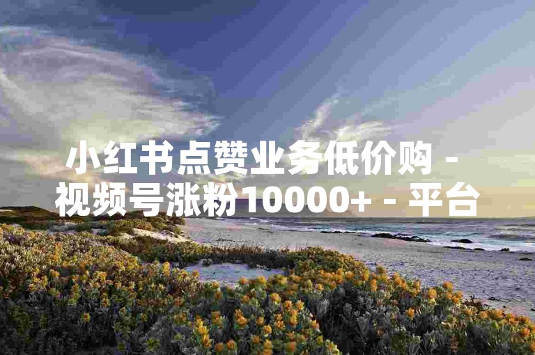 小红书点赞业务低价购 - 视频号涨粉10000+ - 平台自助下单超实惠