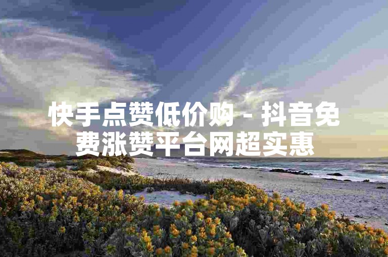 快手点赞低价购 - 抖音免费涨赞平台网超实惠