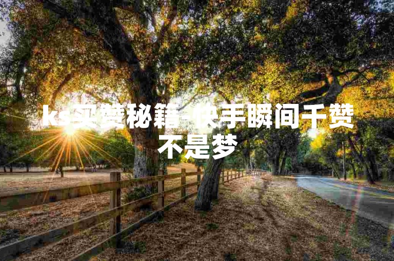 ks买赞秘籍-快手瞬间千赞不是梦