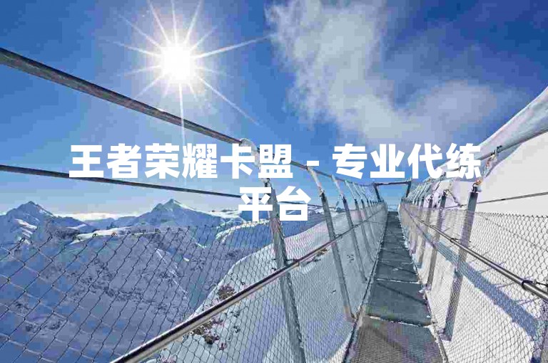 王者荣耀卡盟 - 专业代练平台