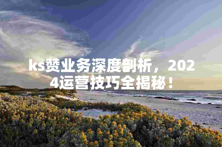 ks赞业务深度剖析，2024运营技巧全揭秘！
