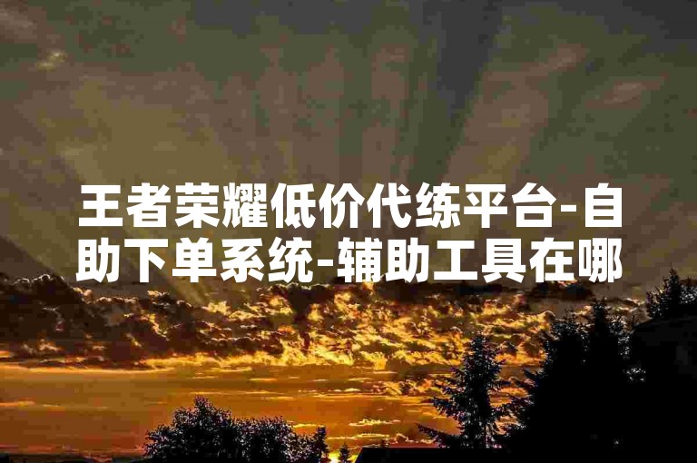 王者荣耀低价代练平台-自助下单系统-辅助工具在哪下载