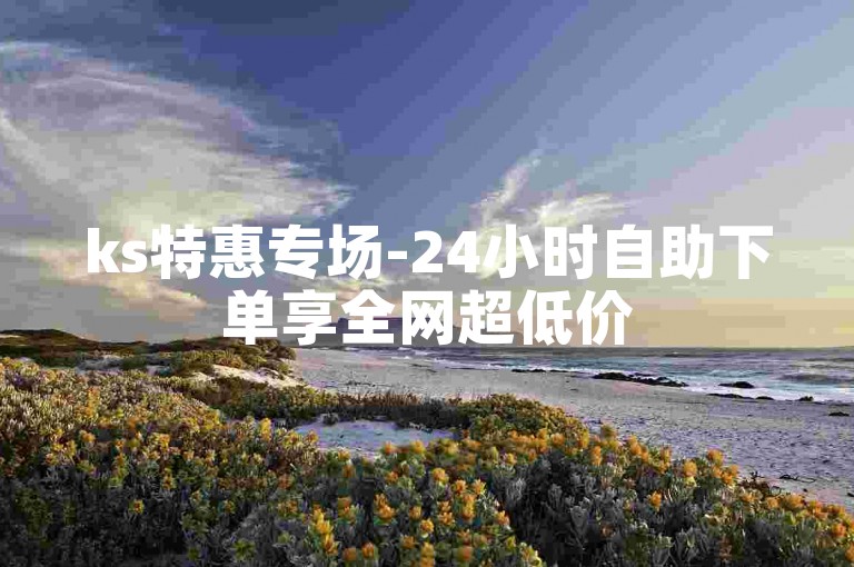 ks特惠专场-24小时自助下单享全网超低价