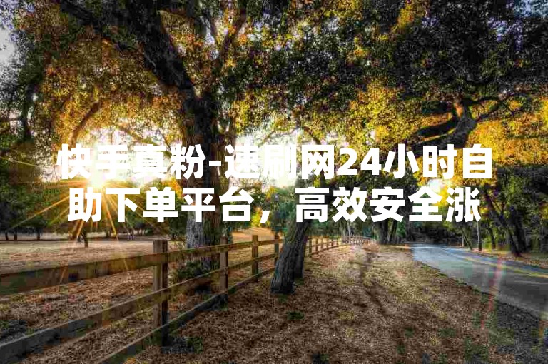 快手真粉-速刷网24小时自助下单平台，高效安全涨粉无忧