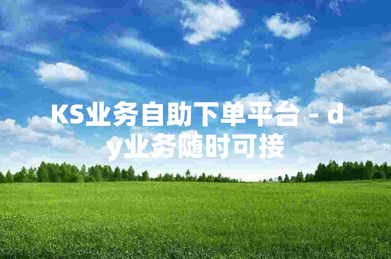 KS业务自助下单平台 - dy业务随时可接
