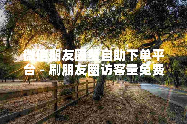 微信朋友圈赞自助下单平台 - 刷朋友圈访客量免费