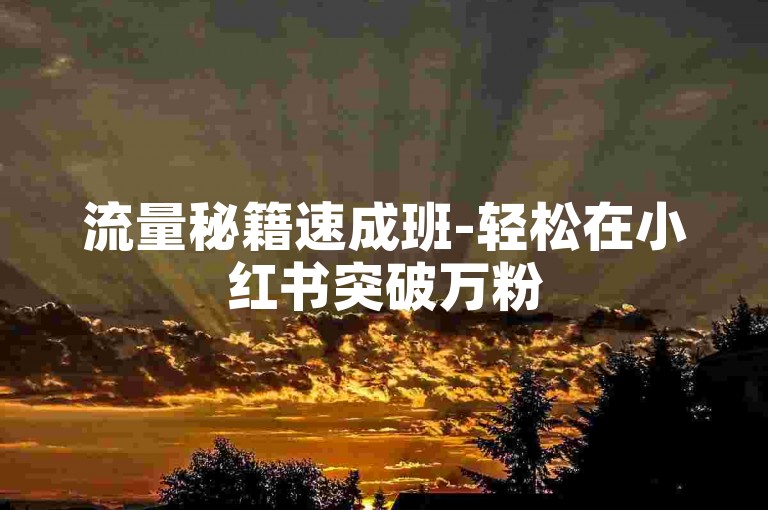 流量秘籍速成班-轻松在小红书突破万粉