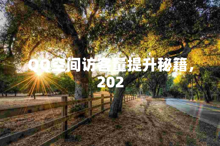 QQ空间访客量提升秘籍，2025年最牛软件大揭秘，QQ空间访客增长攻略，2025必备的超强访客软件集锦，探秘QQ空间访客软件，2025年提升人气的不二之选