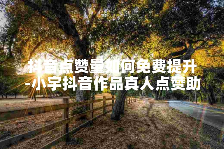 抖音点赞量如何免费提升-小宇抖音作品真人点赞助力