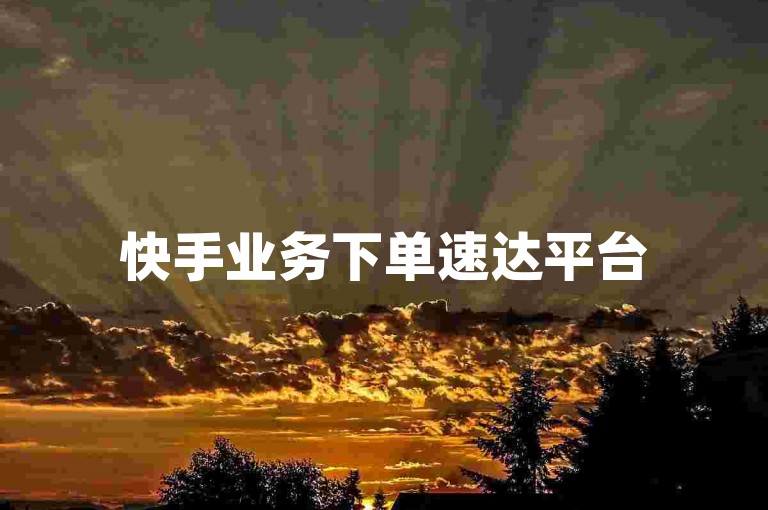 快手业务下单速达平台