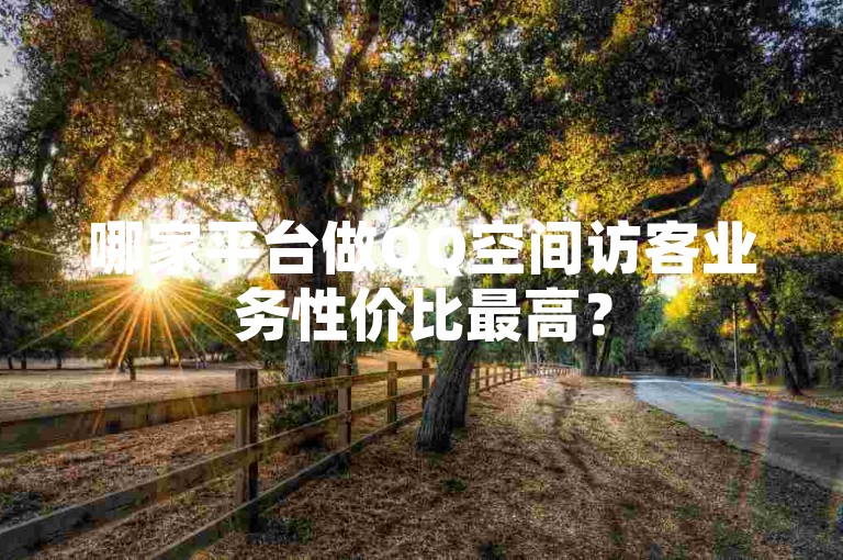 哪家平台做QQ空间访客业务性价比最高？