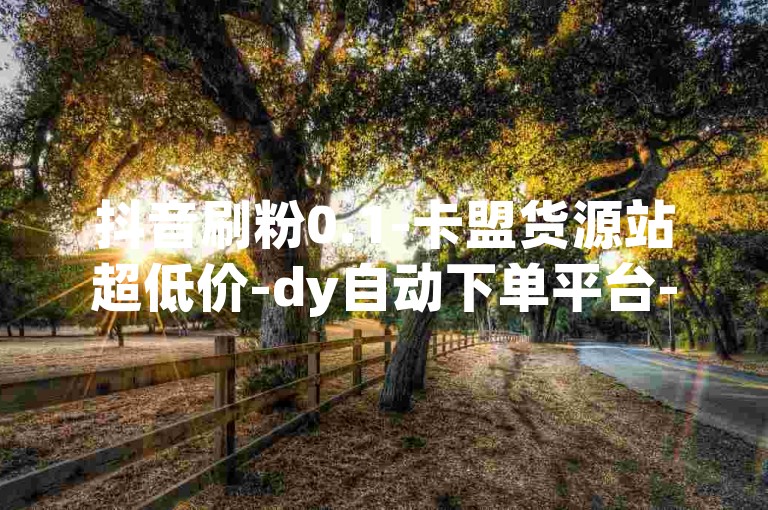 抖音刷粉0.1-卡盟货源站超低价-dy自动下单平台-ks业务自助下单平台5个粉卡盟