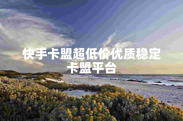 快手卡盟超低价优质稳定卡盟平台