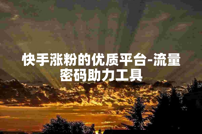 快手涨粉的优质平台-流量密码助力工具