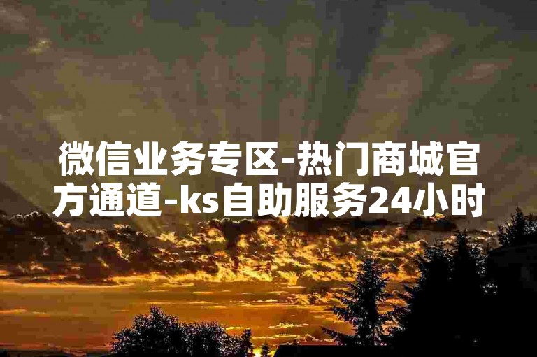 微信业务专区-热门商城官方通道-ks自助服务24小时-随时下单平台速下载