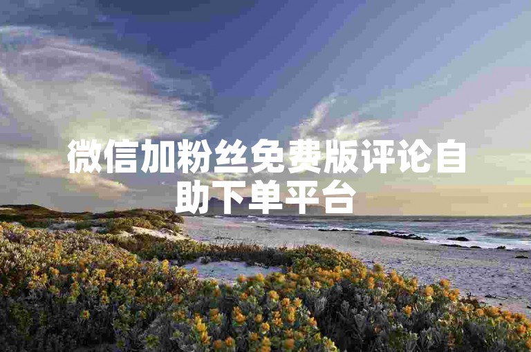 微信加粉丝免费版评论自助下单平台