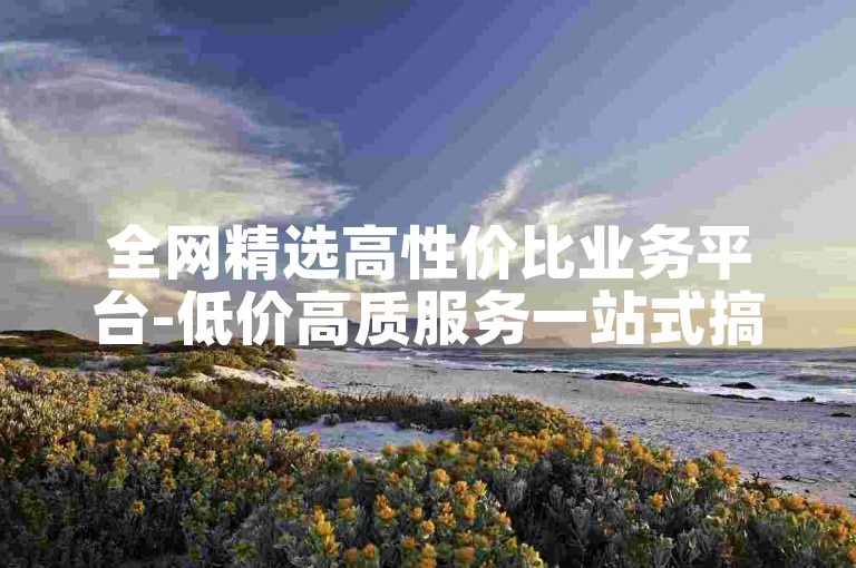 全网精选高性价比业务平台-低价高质服务一站式搞定