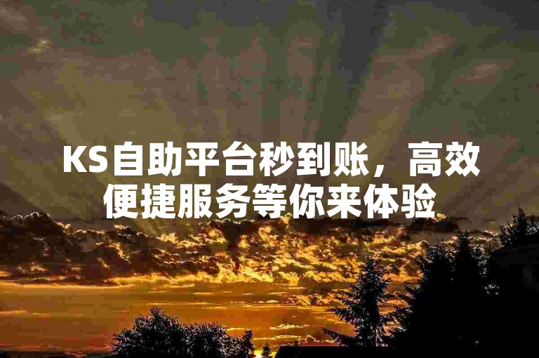KS自助平台秒到账，高效便捷服务等你来体验
