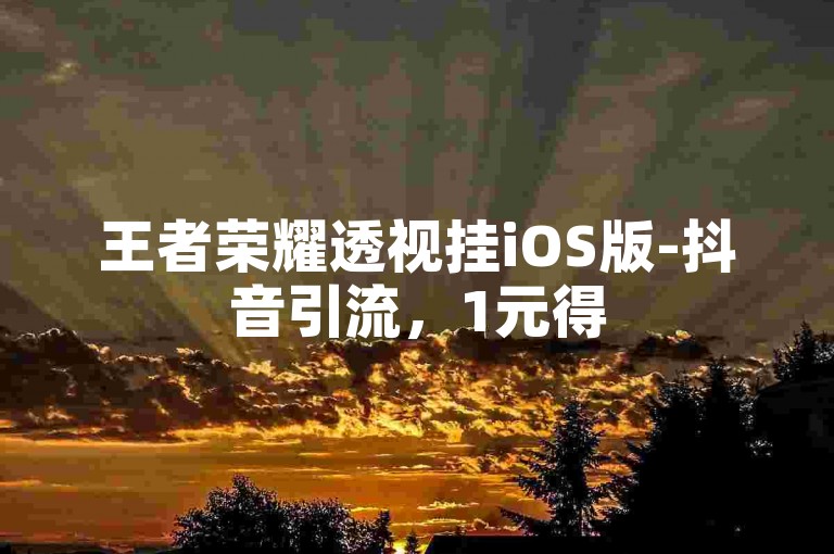 王者荣耀透视挂iOS版-抖音引流，1元得5000点赞