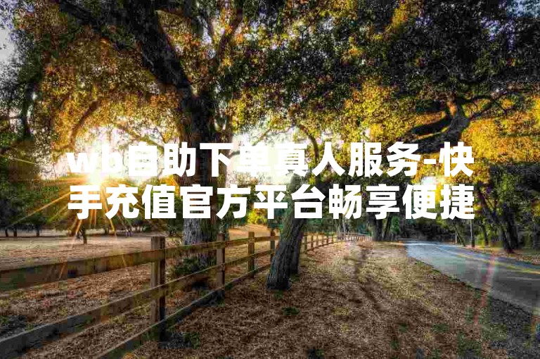 wb自助下单真人服务-快手充值官方平台畅享便捷充值体验