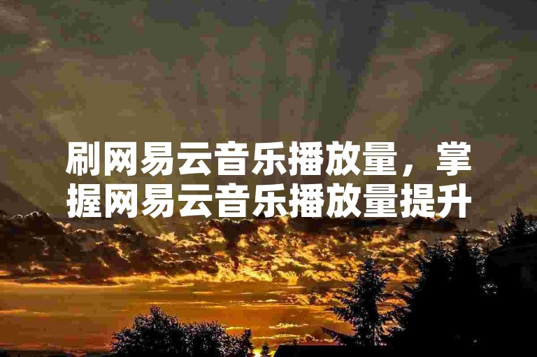 刷网易云音乐播放量，掌握网易云音乐播放量提升的实用方法与诀窍？