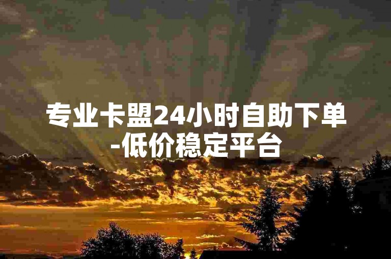 专业卡盟24小时自助下单-低价稳定平台