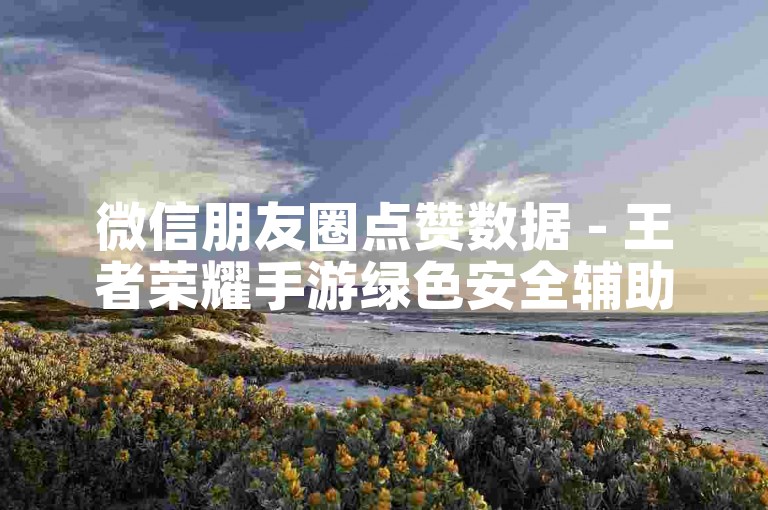 微信朋友圈点赞数据 - 王者荣耀手游绿色安全辅助平台