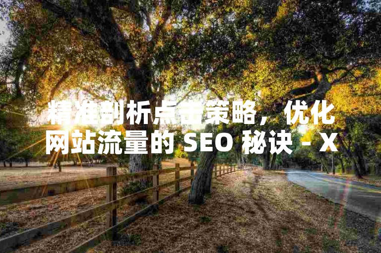 精准剖析点击策略，优化网站流量的 SEO 秘诀 - XX 平台