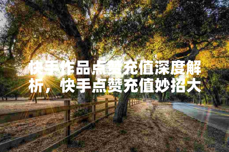 快手作品点赞充值深度解析，快手点赞充值妙招大公开！2025速学-