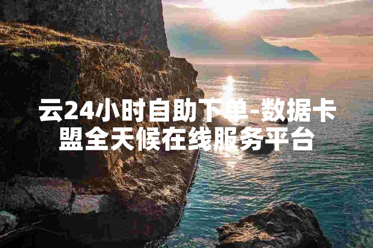 云24小时自助下单-数据卡盟全天候在线服务平台