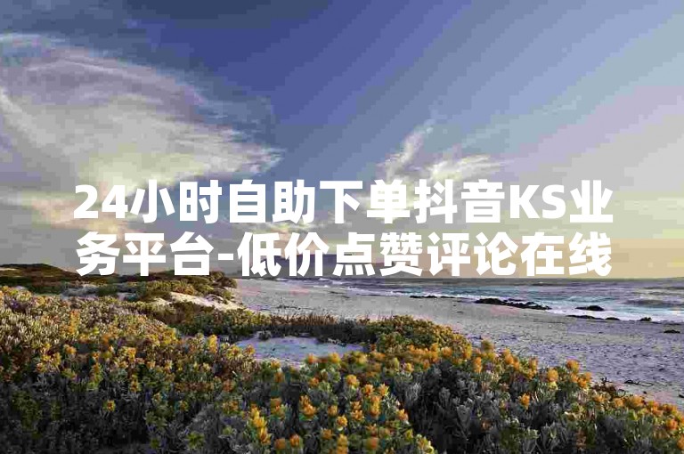 24小时自助下单抖音KS业务平台-低价点赞评论在线购-作品推广一站式服务