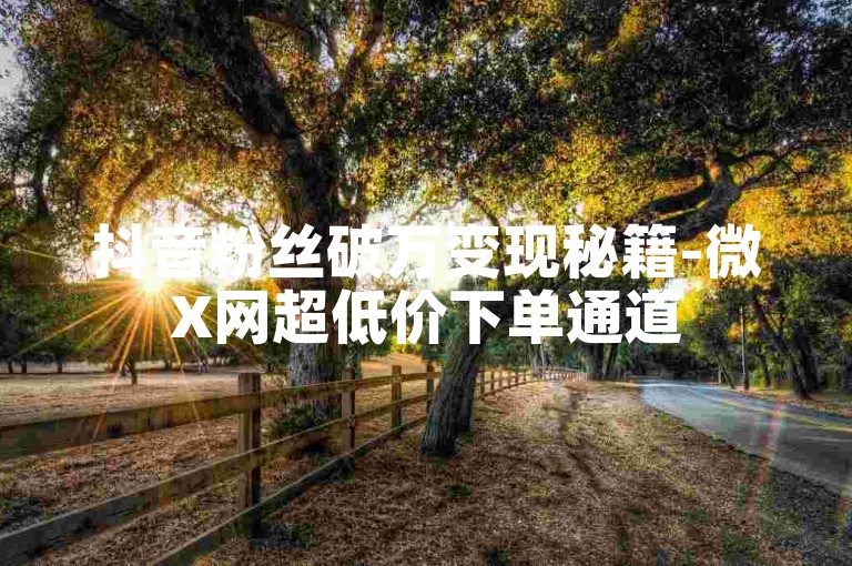 抖音粉丝破万变现秘籍-微X网超低价下单通道