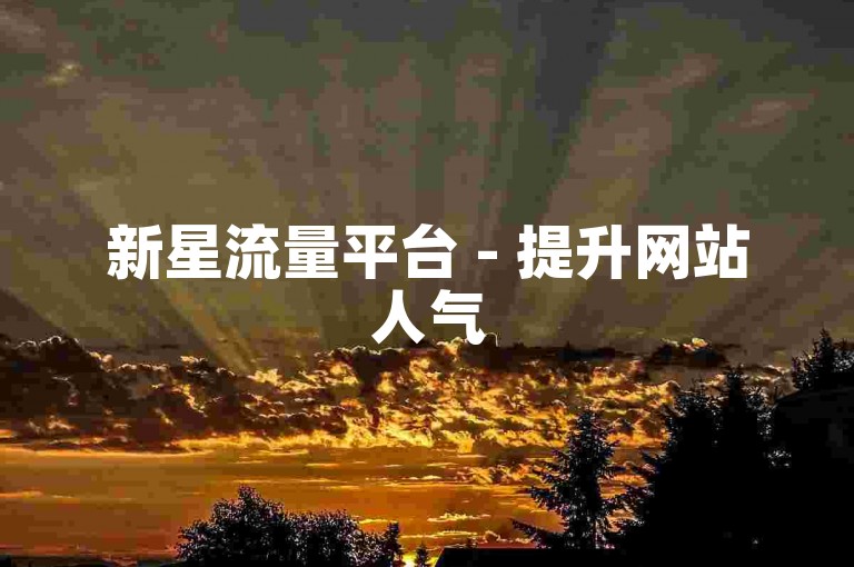 新星流量平台 - 提升网站人气
