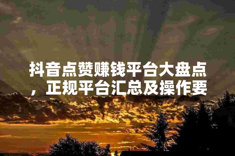 抖音点赞赚钱平台大盘点，正规平台汇总及操作要点详解