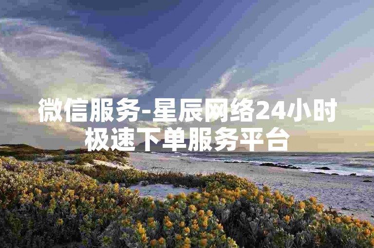 微信服务-星辰网络24小时极速下单服务平台
