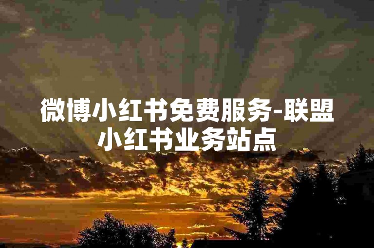 微博小红书免费服务-联盟小红书业务站点