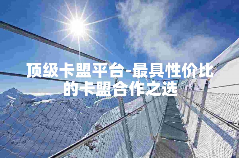 顶级卡盟平台-最具性价比的卡盟合作之选