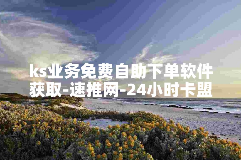 ks业务免费自助下单软件获取-速推网-24小时卡盟自助平台-随时下单免费